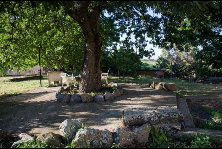 Favoloso Appartamento In Villa Monterosi Екстер'єр фото