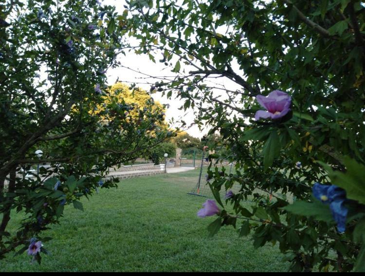 Favoloso Appartamento In Villa Monterosi Екстер'єр фото