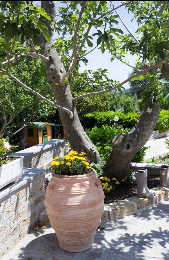 Favoloso Appartamento In Villa Monterosi Екстер'єр фото